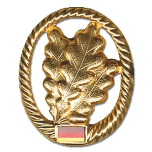 Abzeichen BW Barett Jägertruppe