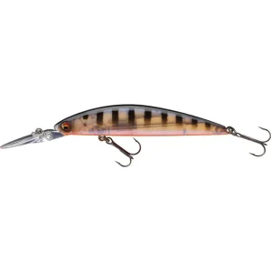 Tournament Current Master 93F-DR