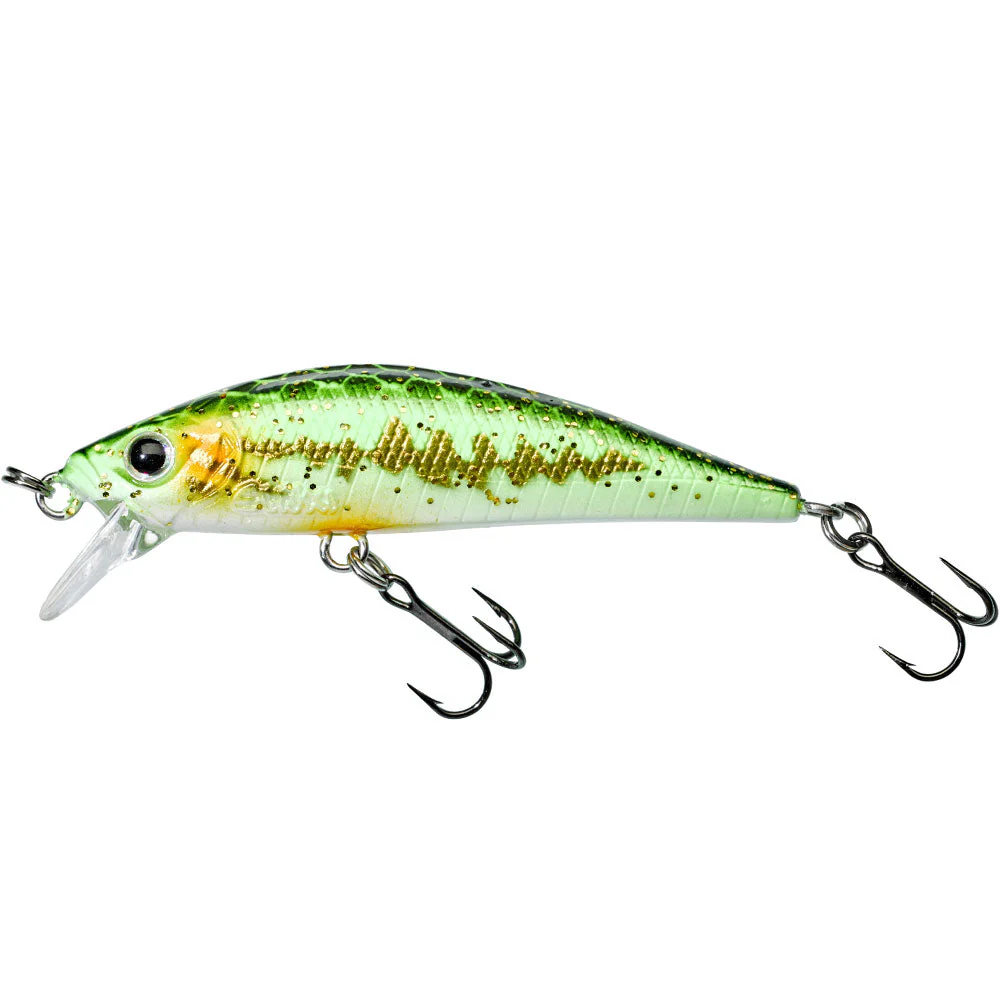 Gamera 50 SP – Bild 2