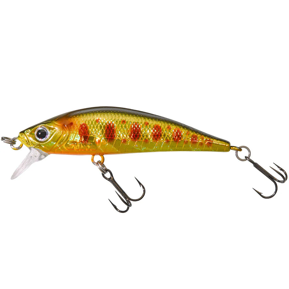 Gamera 50 SP – Bild 3