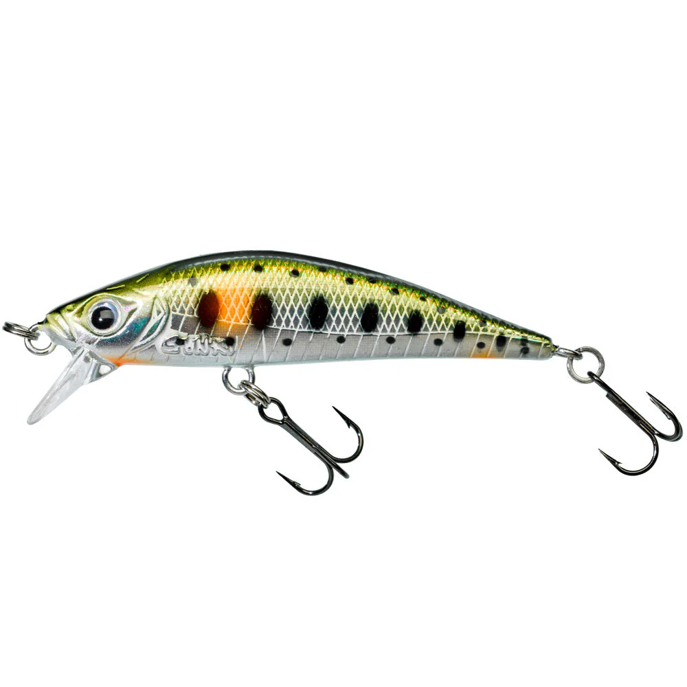 Gamera 50 SP – Bild 6