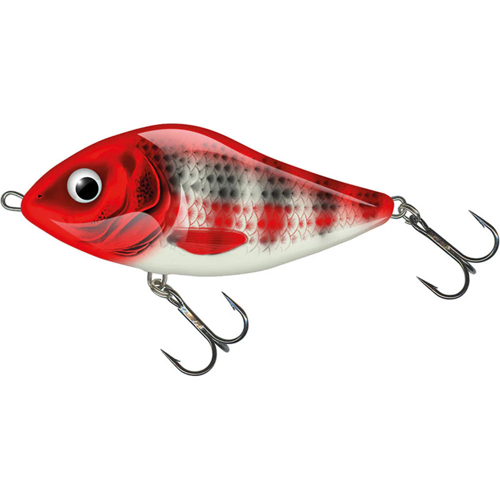 Slider 10 cm (Jerkbait) – Bild 3