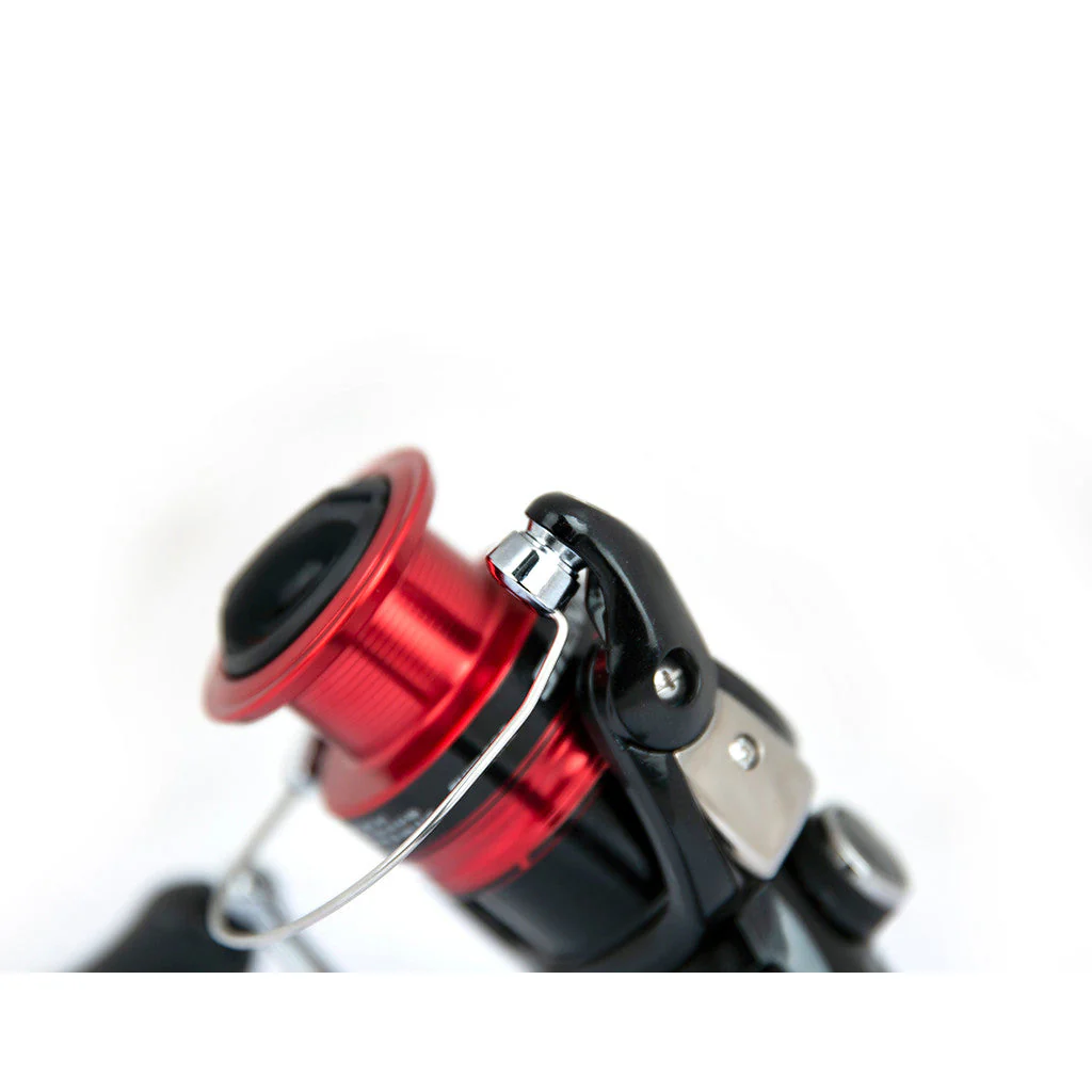 Sienna FG – Bild 4